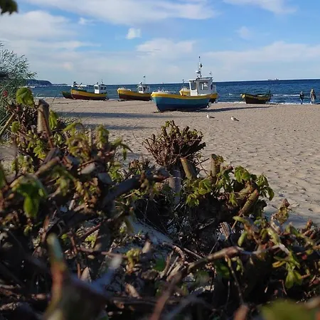 Apartament Amber Daire *